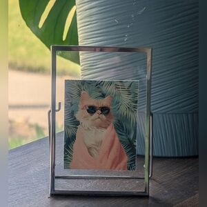 Cool Cat Framed Art Print In Modern Silver Glass Floating Frame | Desk Art
